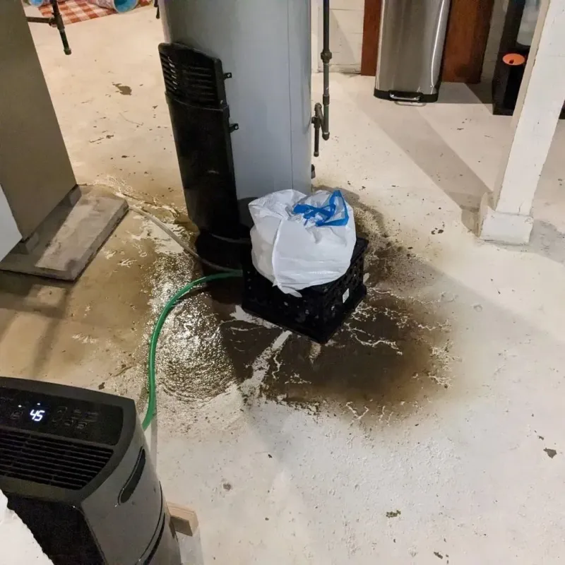 Sewage Backup Cleanup Service in Yutan, NE
